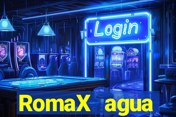 RomaX agua sanitaria fispq agua sanitaria romax